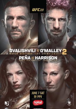Ufc 316 poster
